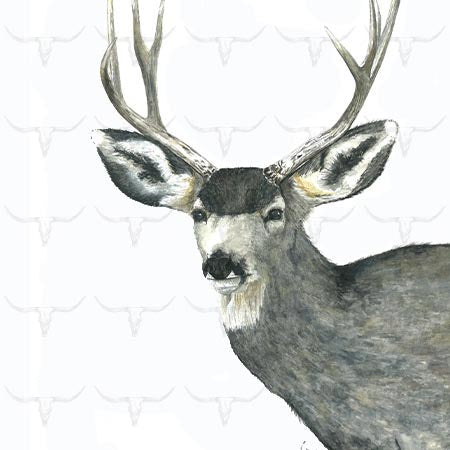 Tea Towel - Buckaroo