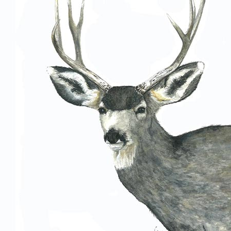 Cutting Board - Buckaroo