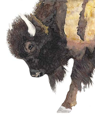 Cutting Board - Buffalo Bill