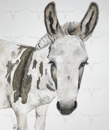 11x14 Prints - Burrito