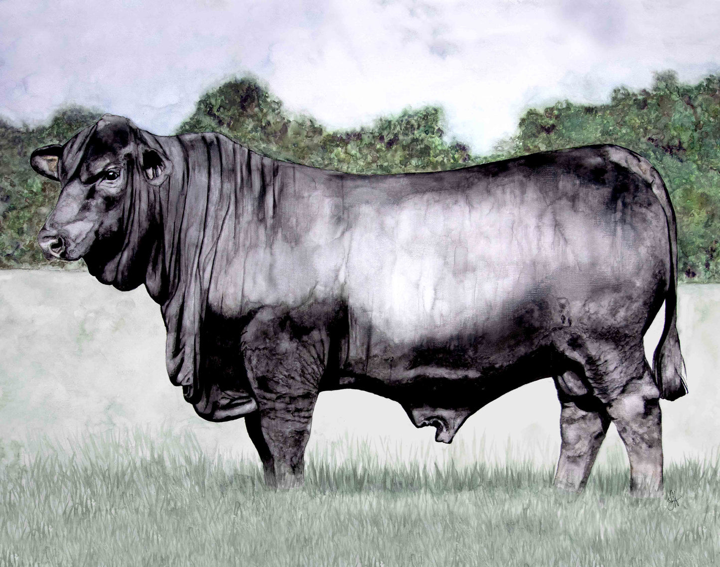 11x14 Prints - Champ