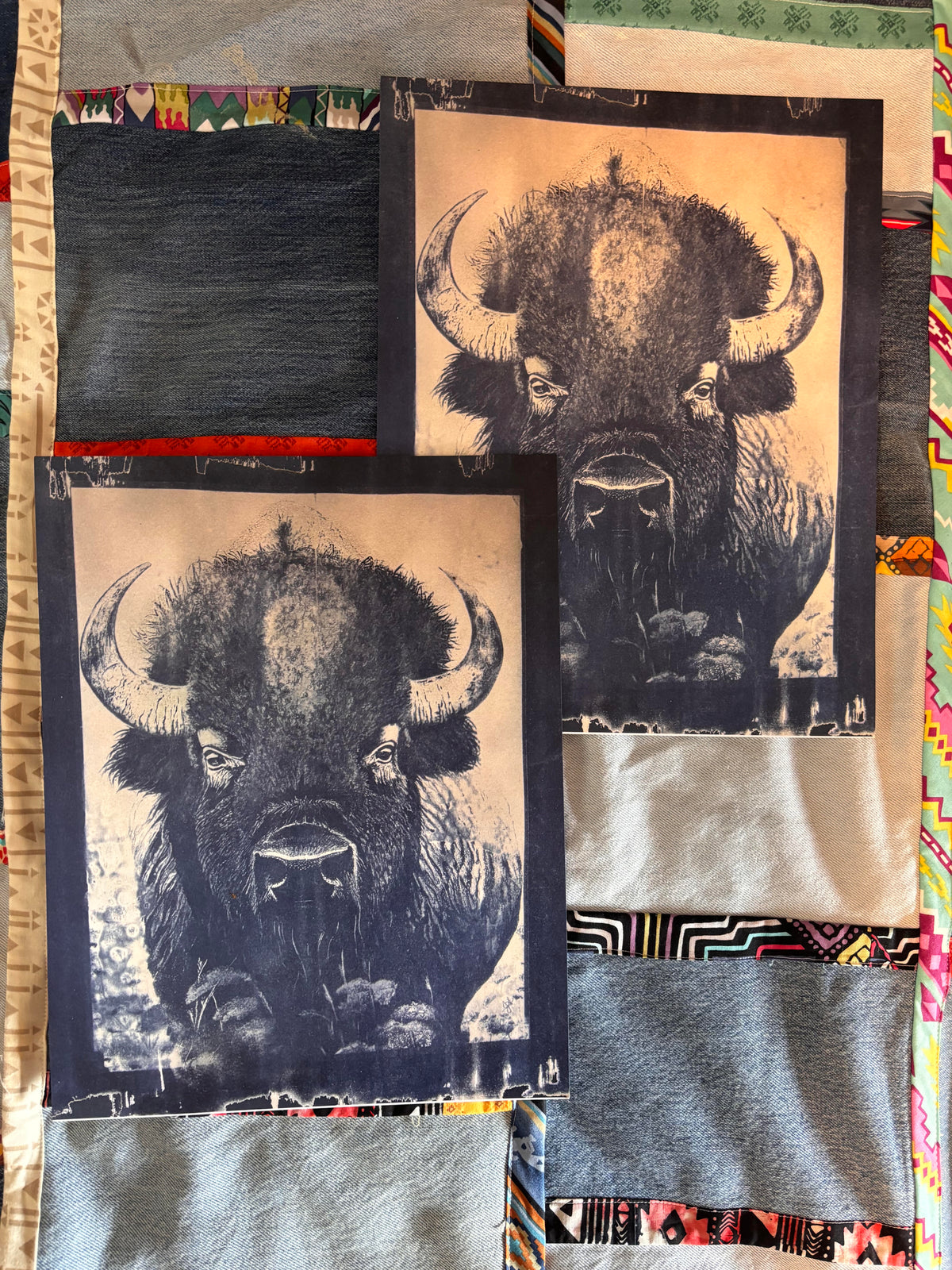 11x14 Prints - Tatonka "sun dyed"