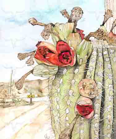 Tea Towel - Country Roads (no text)