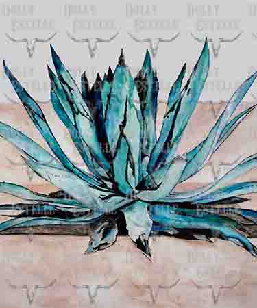 11x14 Prints - Desert Blossom