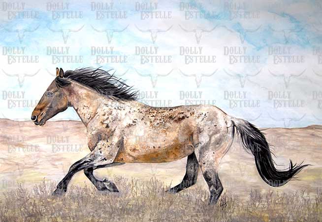 11x14 Prints - Desperado