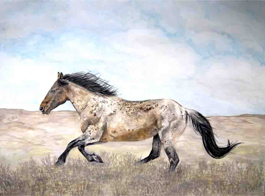 Wall Art - 24x30 - Desperado