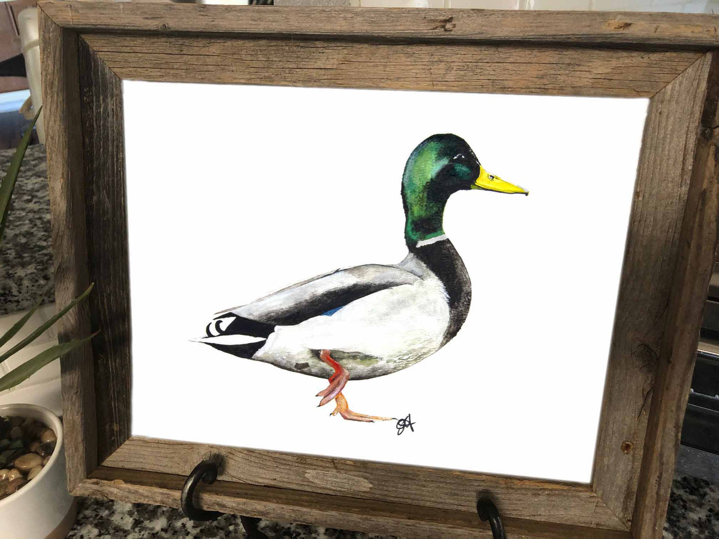 11x14 Prints - Duck Tape