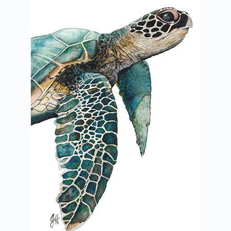 Wall Art - 16x20 - Dude