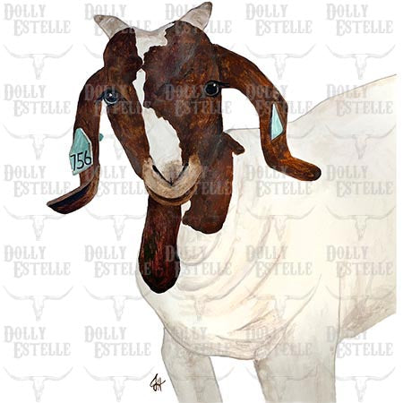 11x14 Prints - Fancy