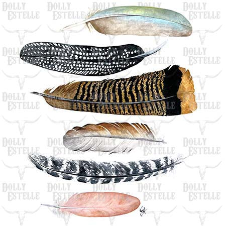 11x14 Prints - Feathers