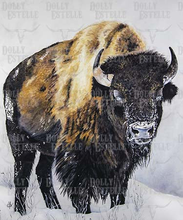 11x14 Prints - Geronimo