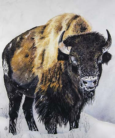 Wall Art - 32x40 - Geronimo