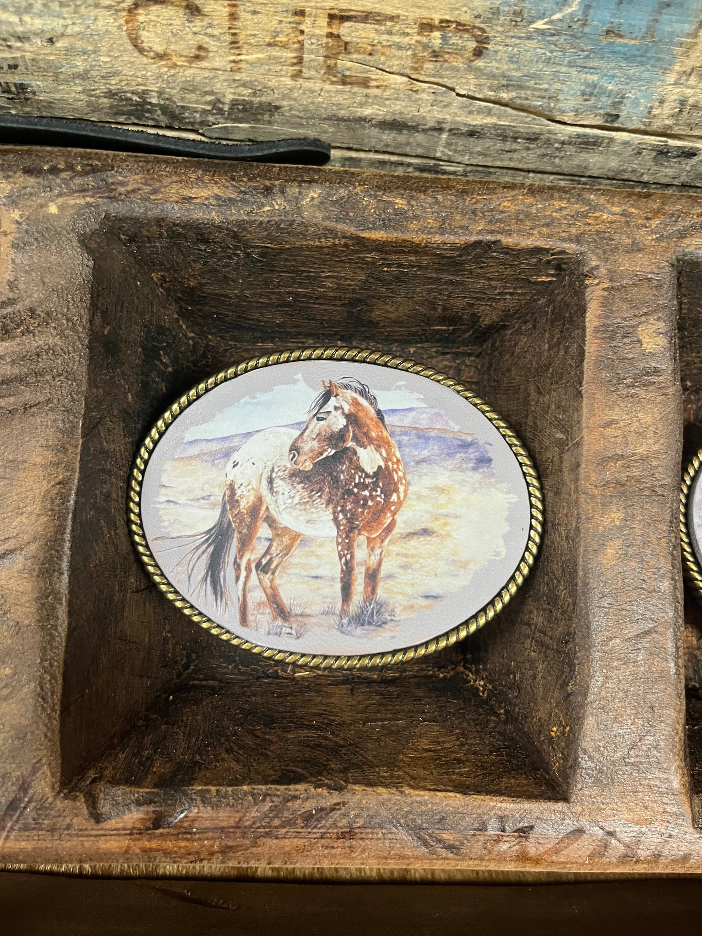 Belt Buckle - No Name