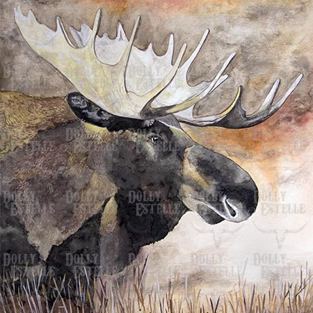 11x14 Prints - Jackson