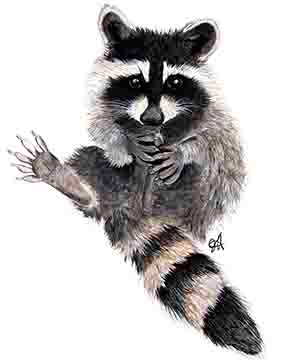 Wall Art - 16x20 - Kit