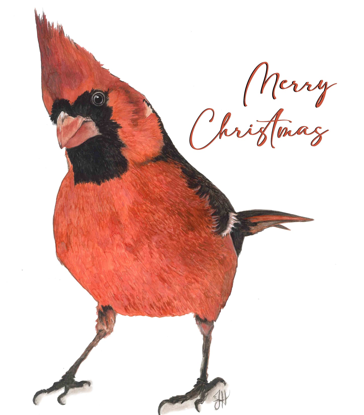 Tea Towel - Little Red (merry christmas)