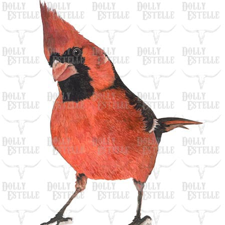 Tea Towel - Little Red