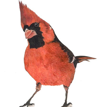 Cutting Board - Little Red