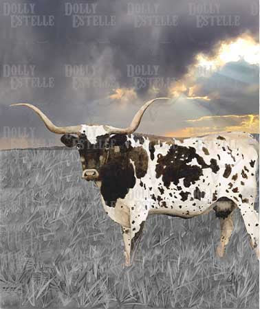 Tea Towel - Old Timer 2.0