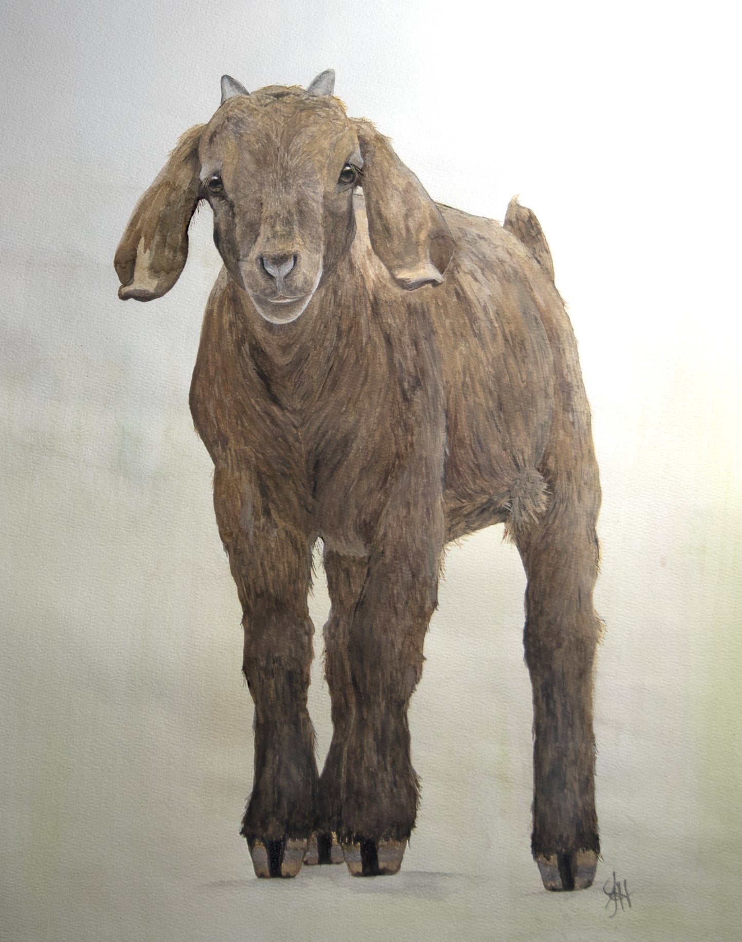 11x14 Prints - Rootbeer