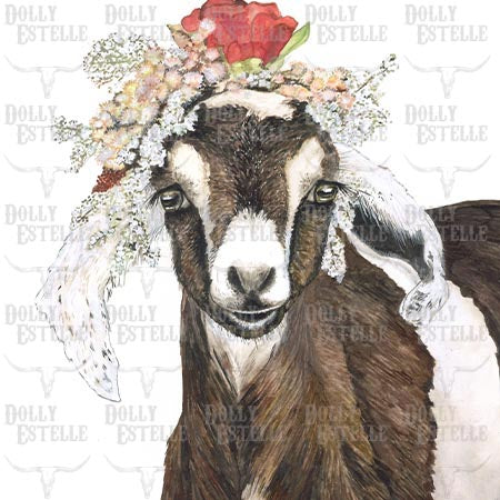 11x14 Prints - Rosie