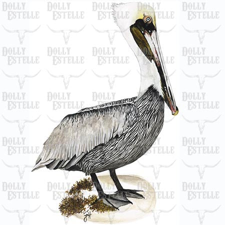 11x14 Prints - Sailor