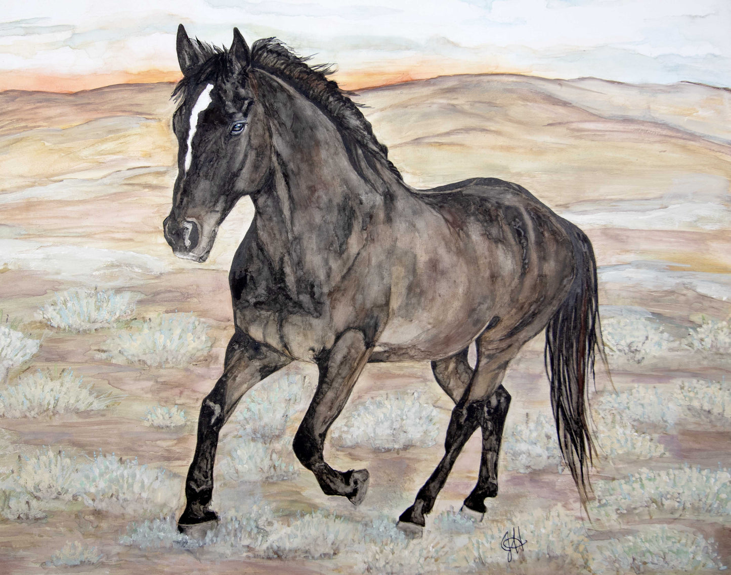 11x14 Prints - Tango