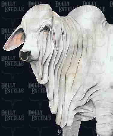 11x14 Prints - Whiskey (black background)