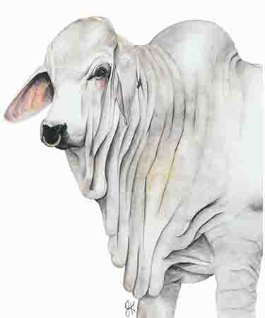 Wall Art - 24x30 - Whisky (white background)