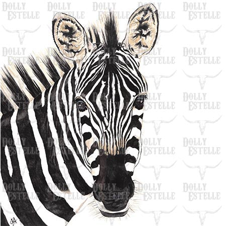 11x14 Prints - Zipper