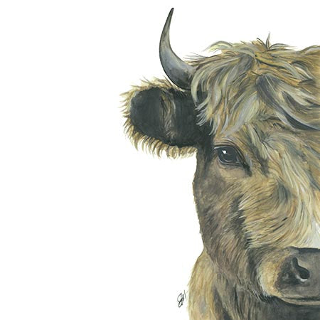 11x14 Prints - Honey