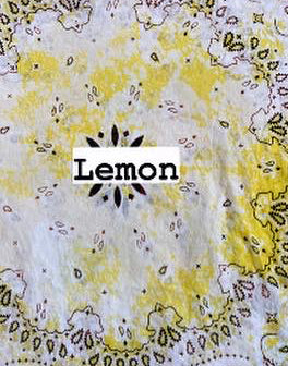 Distressed Bandana