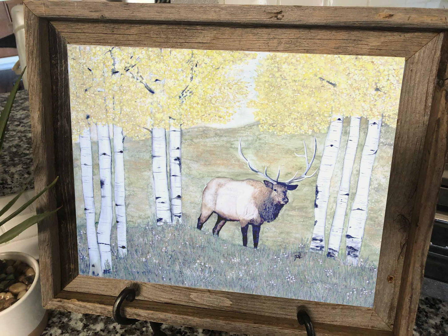 11x14 Prints - Aspen