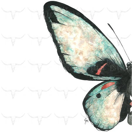 11x14 Prints - Butterfly LEFT