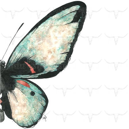 11x14 Prints - Butterfly RIGHT
