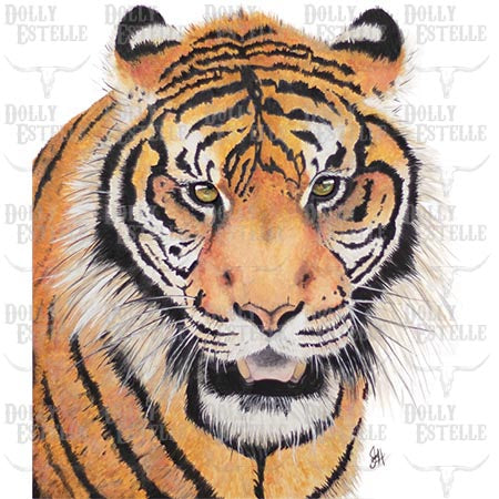 11x14 Prints - Easy Tiger