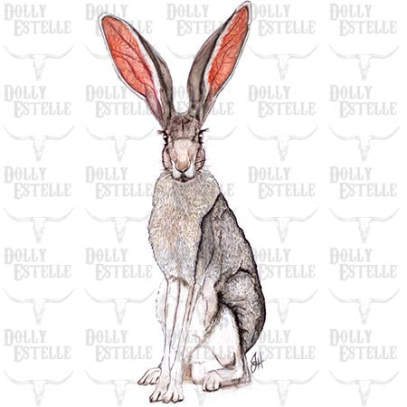 Jack Rabbit Illustration Black Tailed Jackrabbit Art