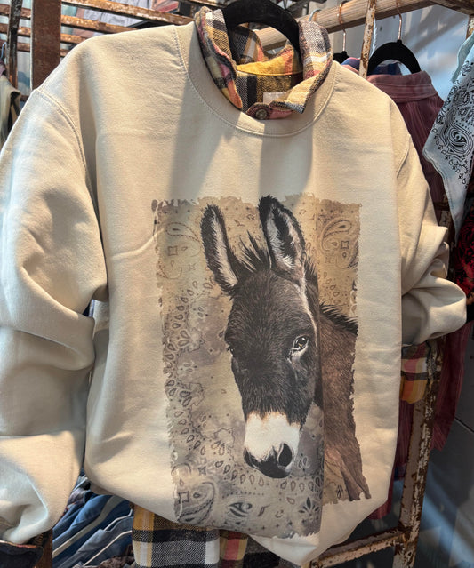 Sweatshirt - Jasper (bandana background)