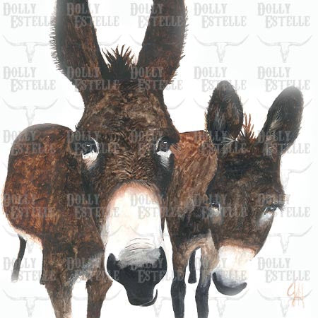 11x14 Prints - Murray Donkeys