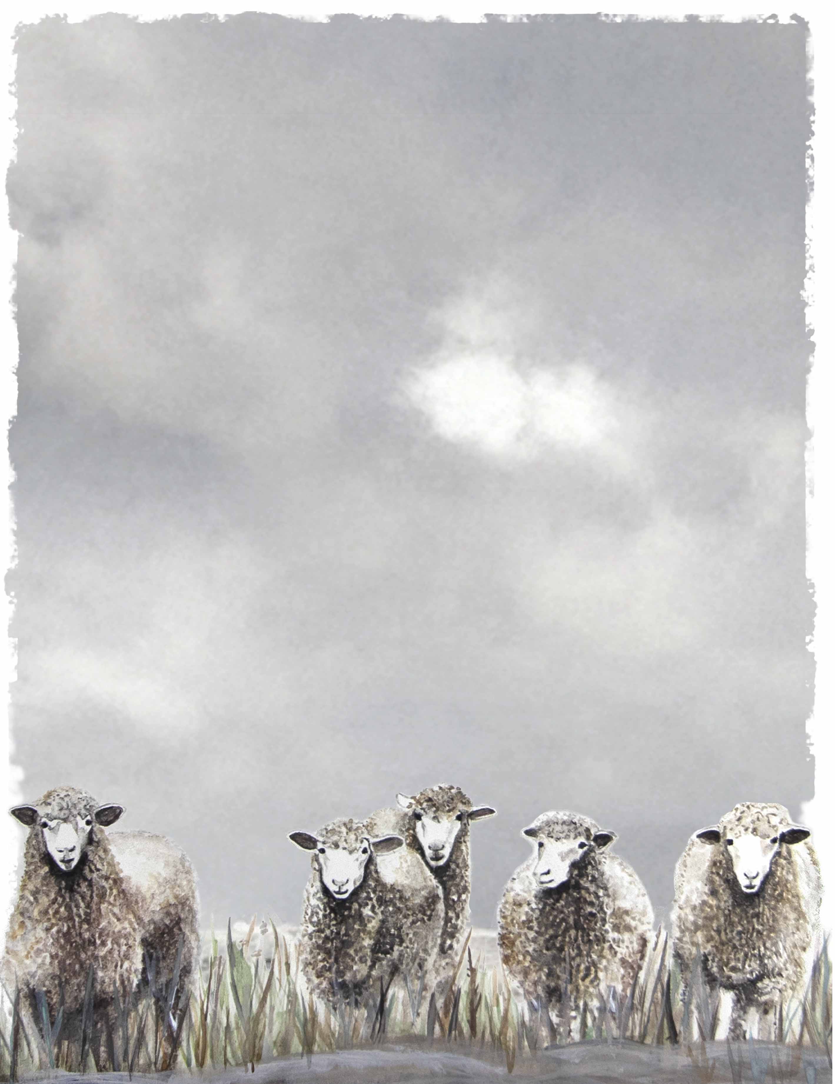 Ewe Tea Tea Towel - Nativity Sheep – Dolly Estelle