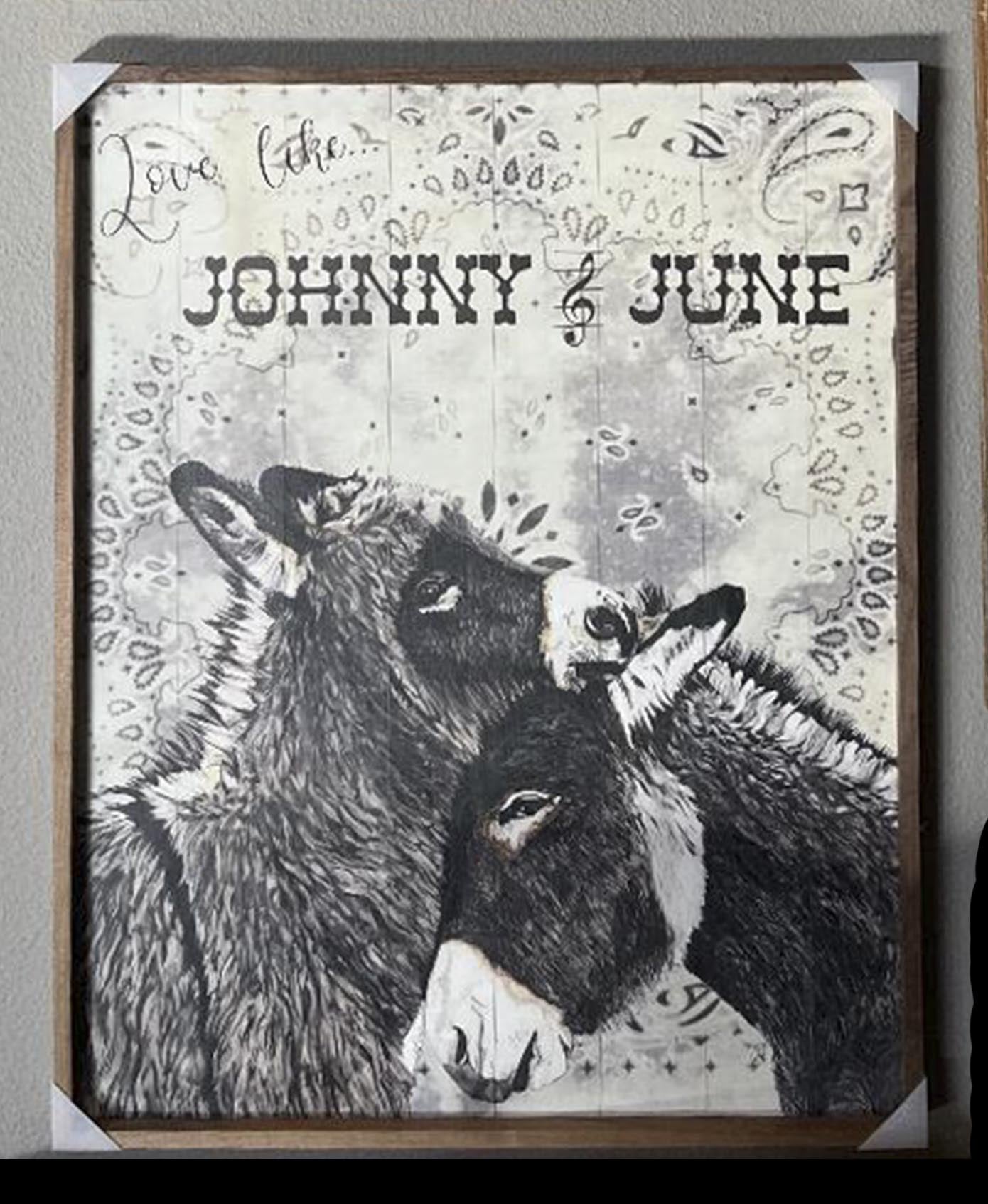 Wall Art 24x30 - Johnny and June (with text and bandana background)